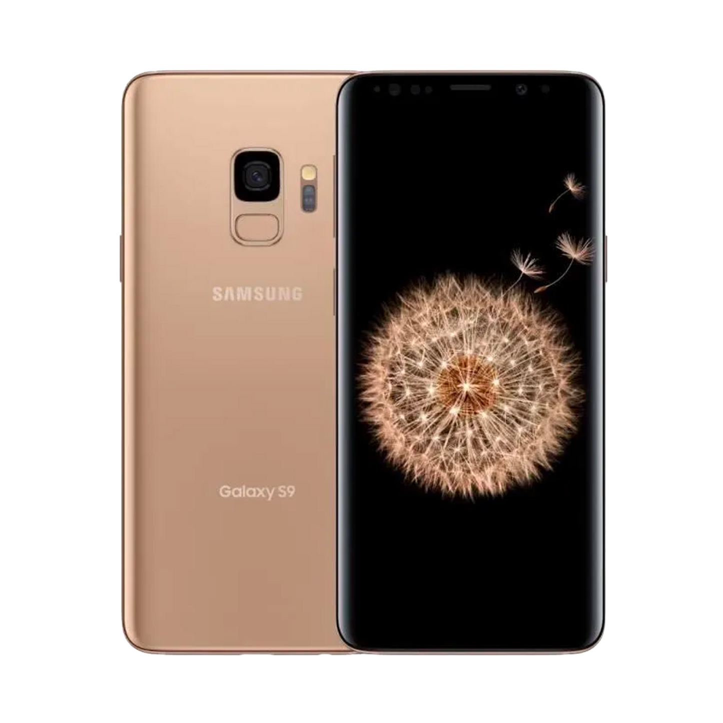 Samsung Galaxy S9 Plus